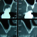 Plants: image 3 0f 4 thumb