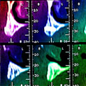 Plants: image 2 0f 4 thumb