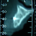 Plants: image 2 0f 4 thumb