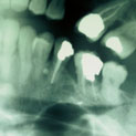 Plants: image 3 0f 4 thumb
