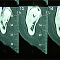 Plants: image 2 0f 4 thumb